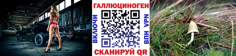 Галлюциногенные грибы мухоморы  Чкаловск 